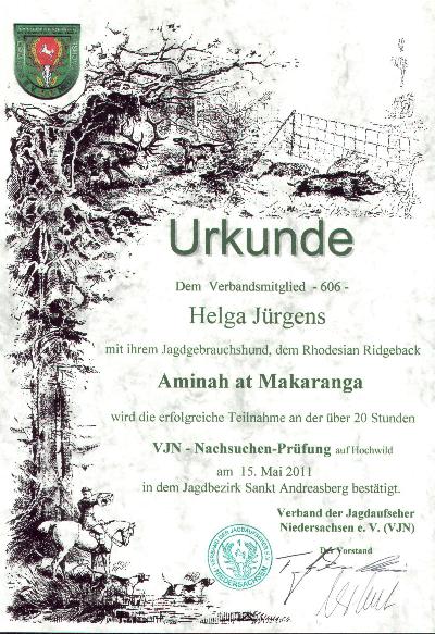 Amniah Urkunde VJN 05