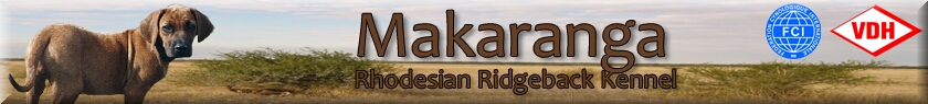 Banner Makaranga