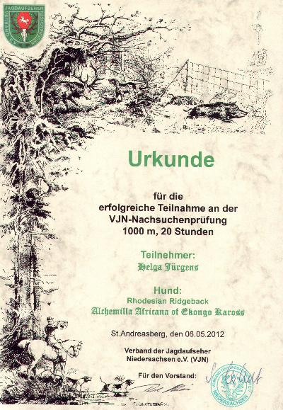 Milla Urkunde VJN 05